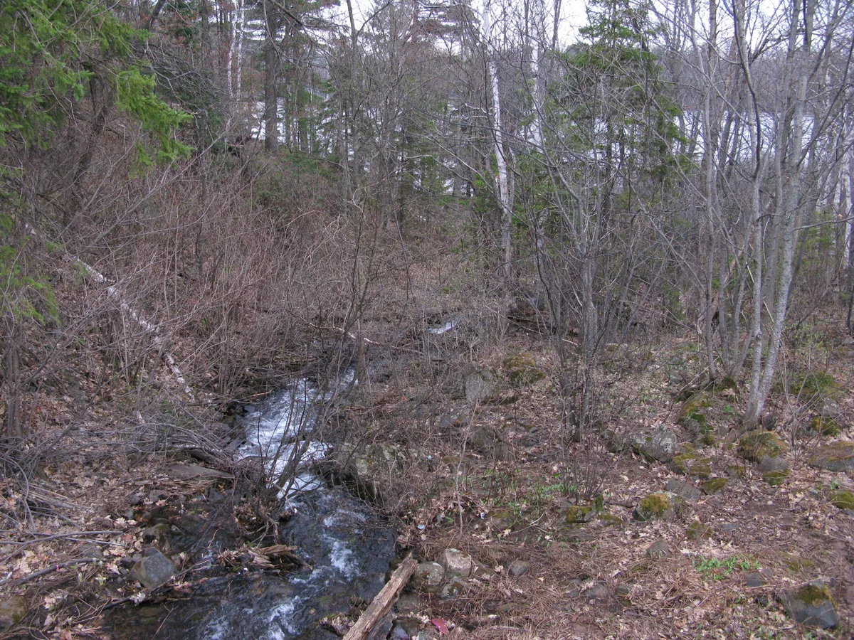 Water creeping downhill towards Grass Lake
