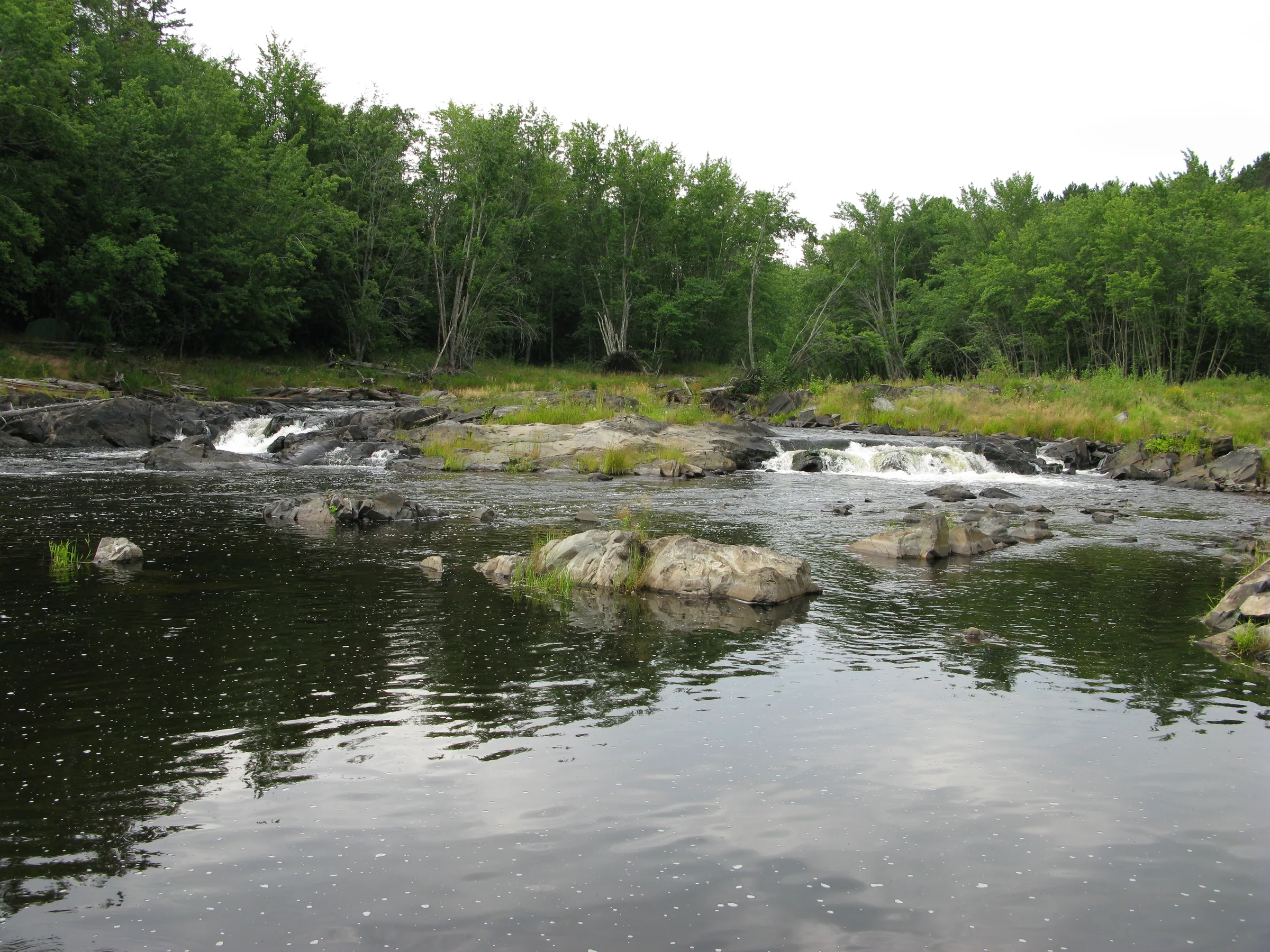 Small drops into the calm water