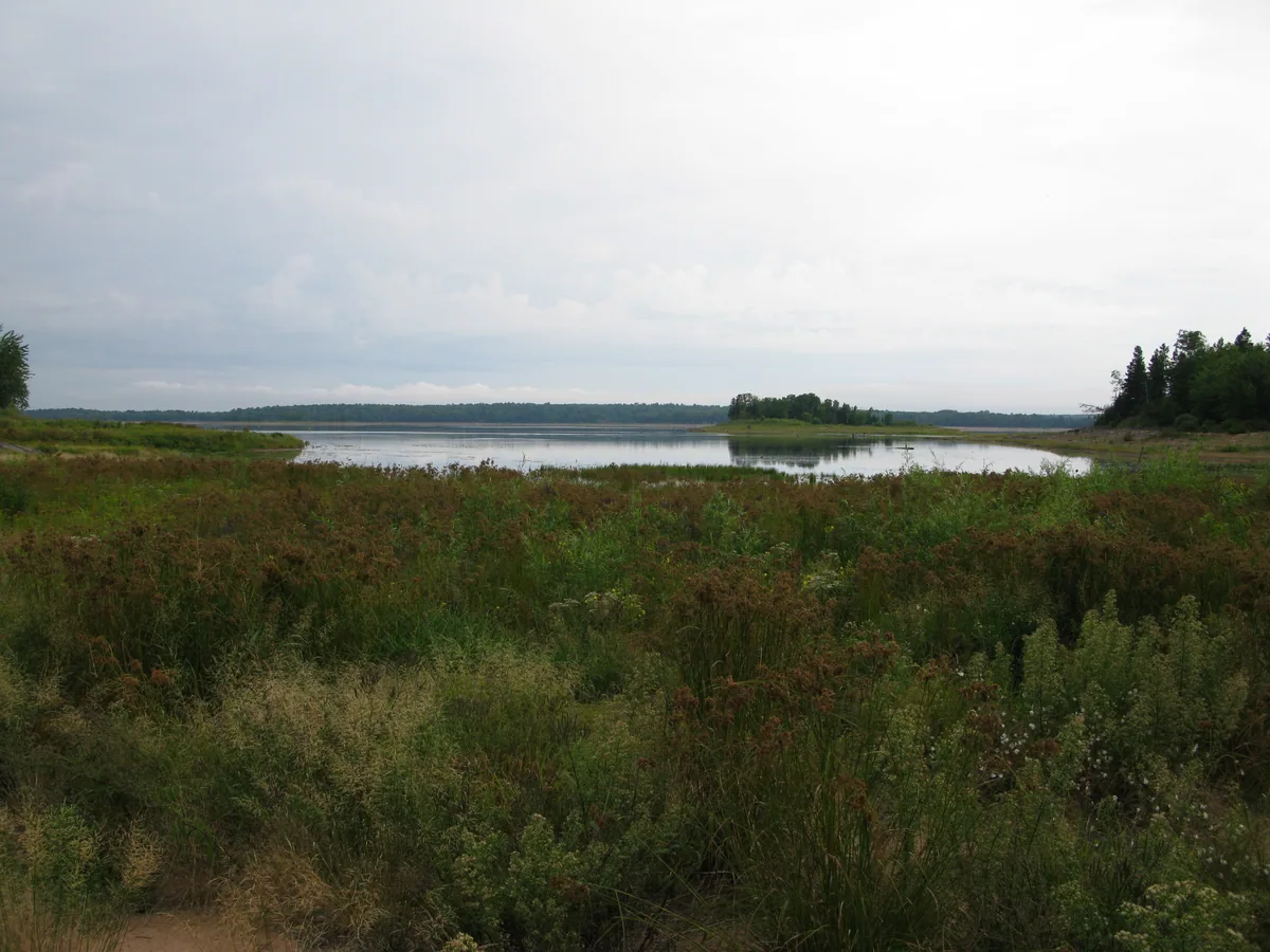 Looking over the reservior