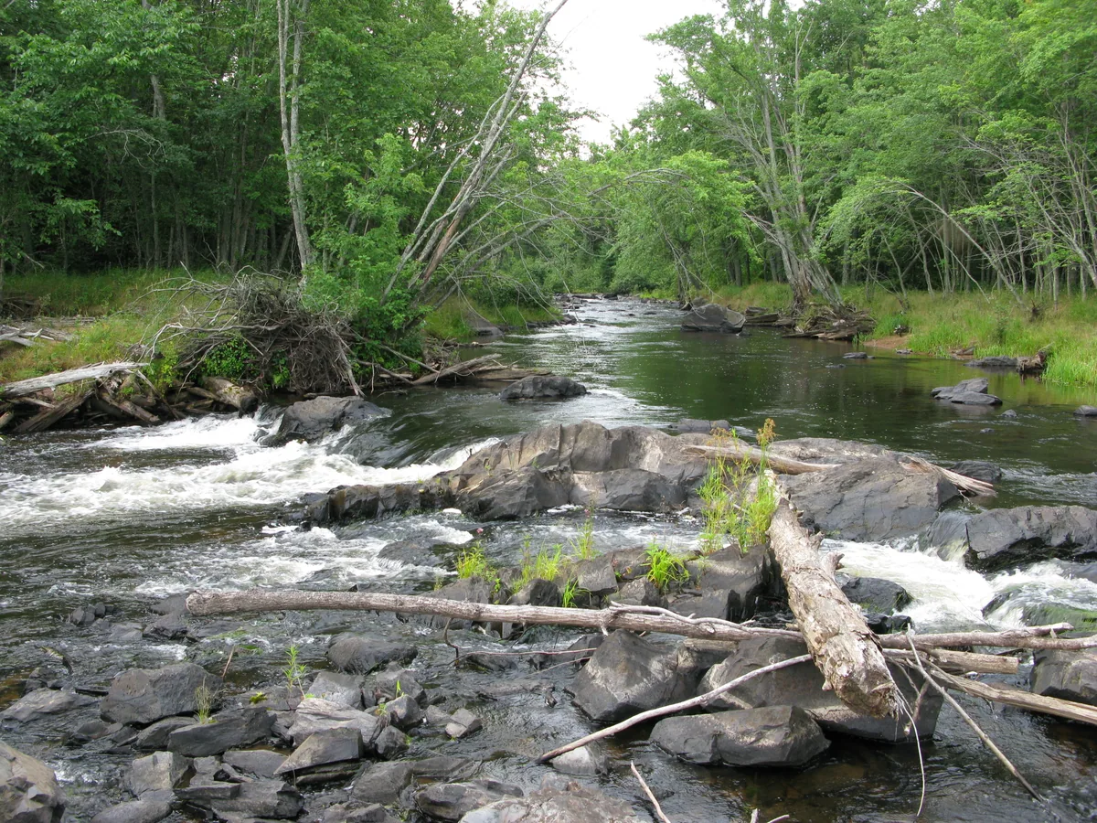 Looking beyond Little Falls