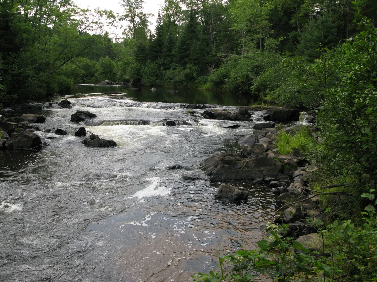 Upstream rapids