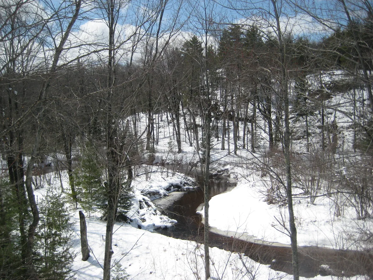 Calm, winding river