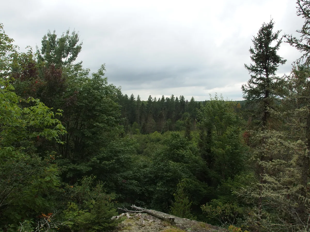 Looking back at the path to the south