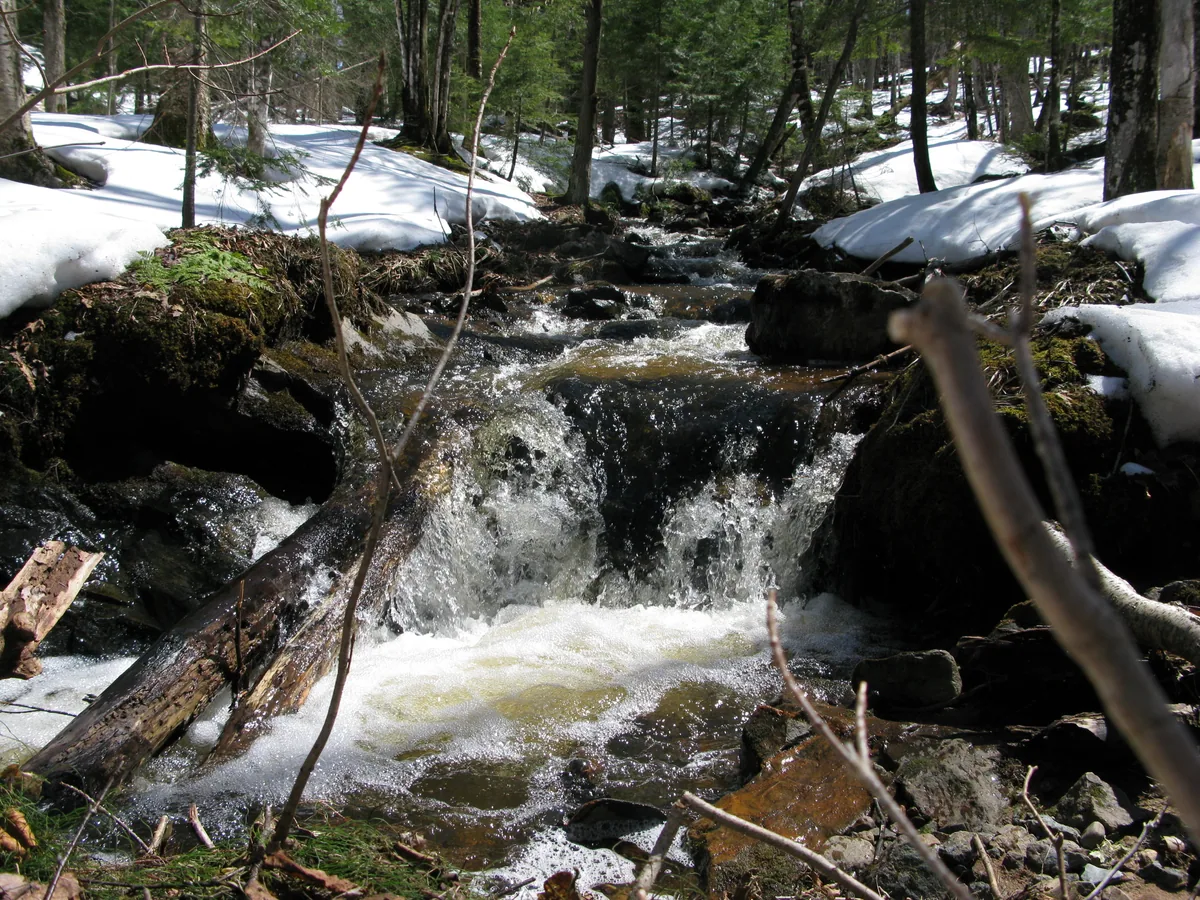 Some small drops along the creek