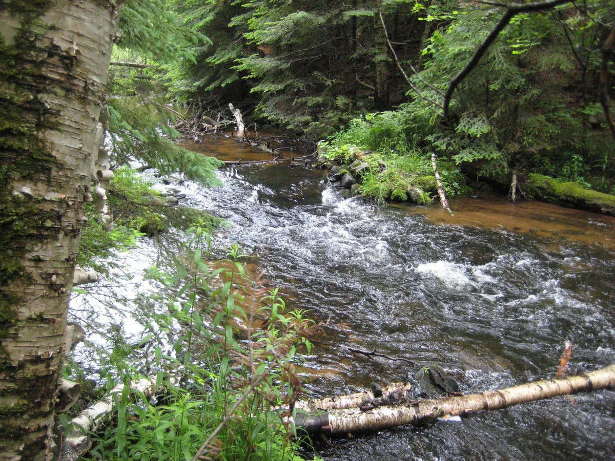 Sandy river below the dam