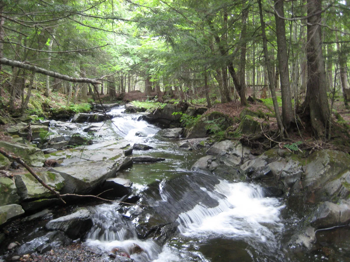Boulders scattered along the river