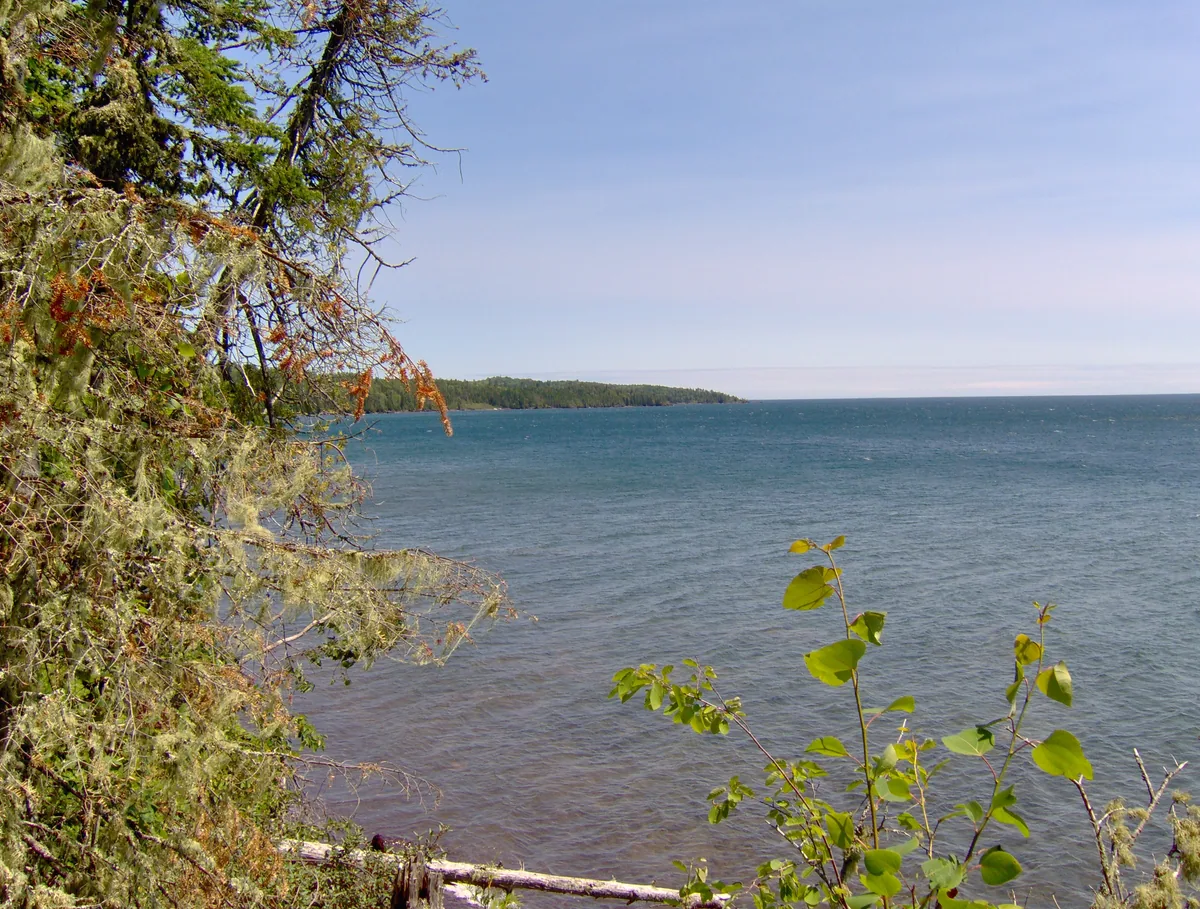 Looking east along the cove
