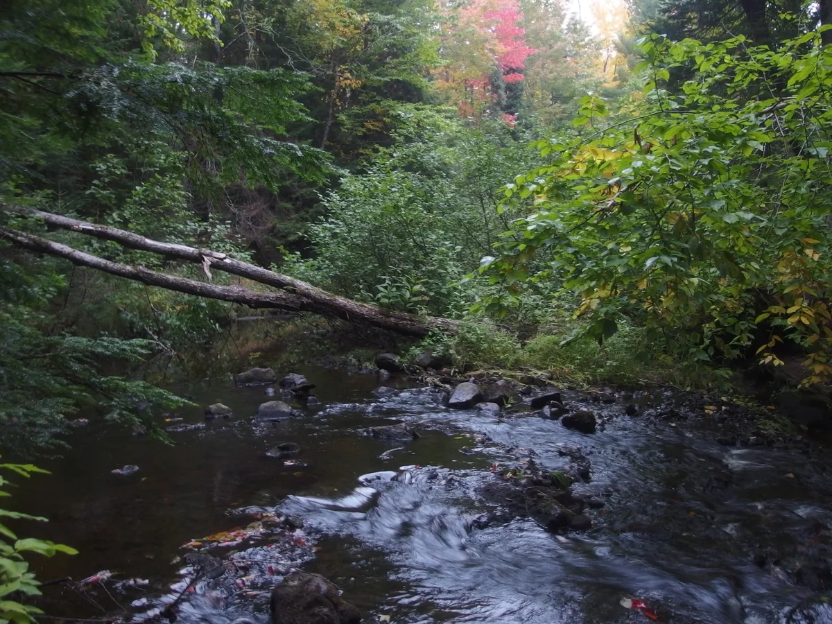River calming downstream