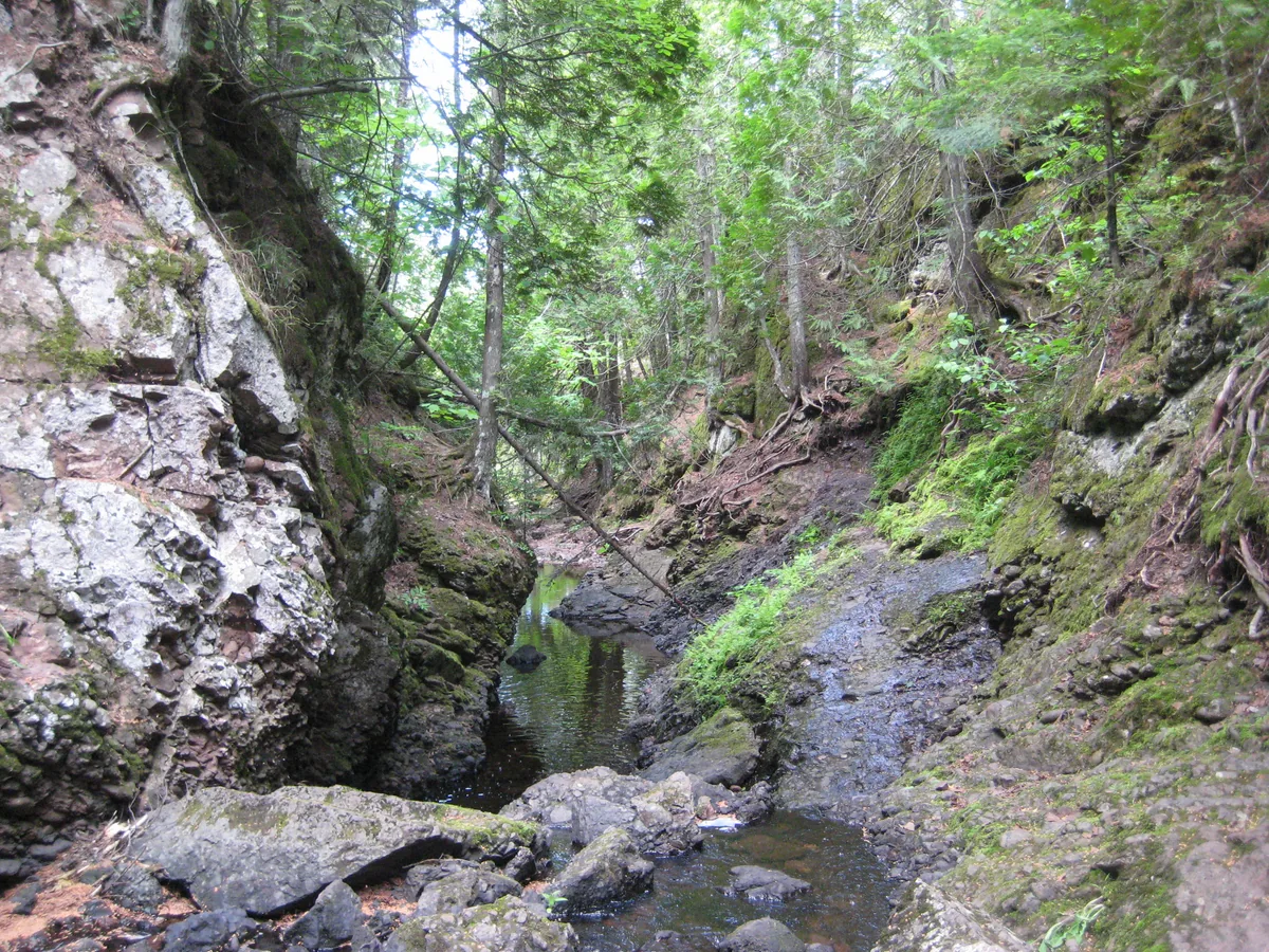 Looking back downstream