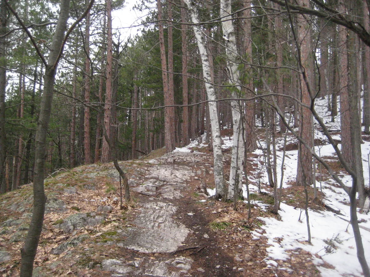 Rocky path leading along Mount Mesnard