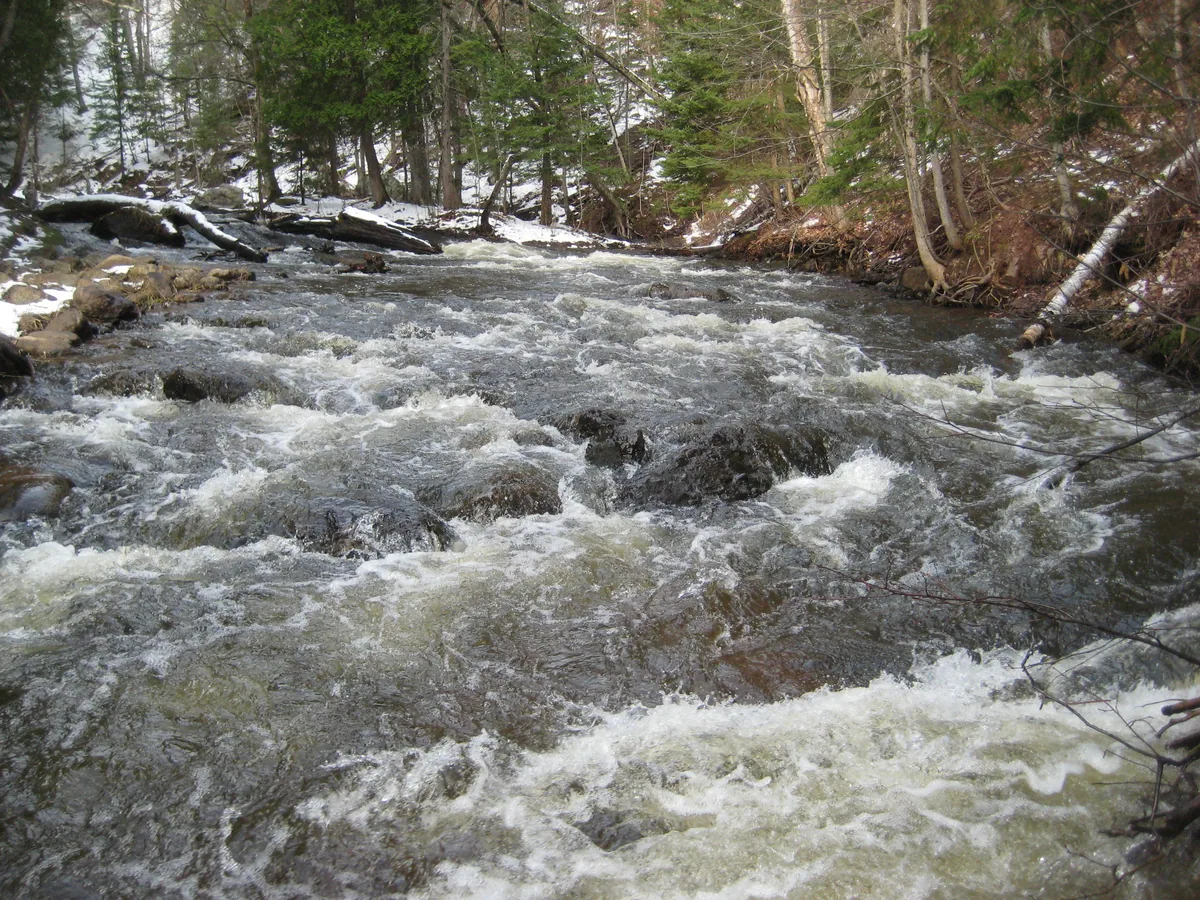 Rapids on Carp River
