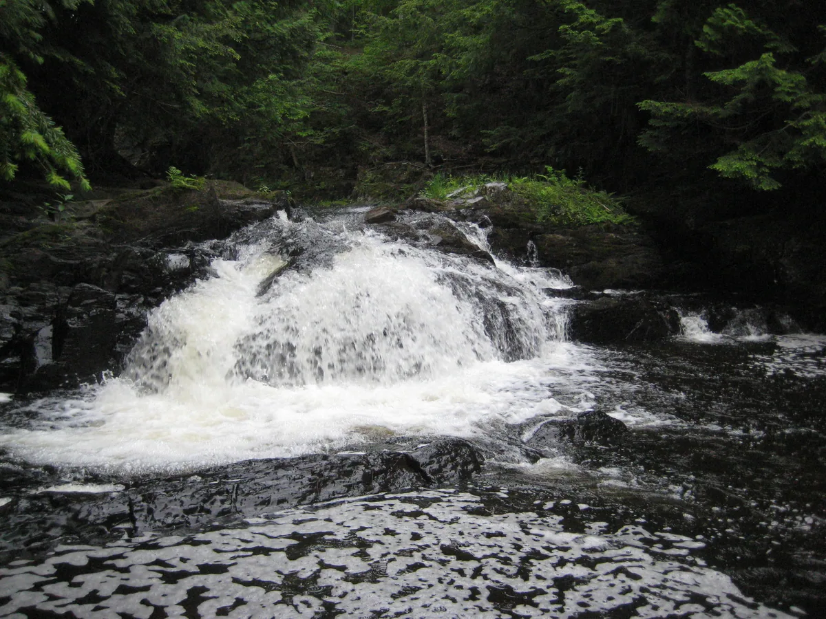 Pretty foaming dome on Silver River