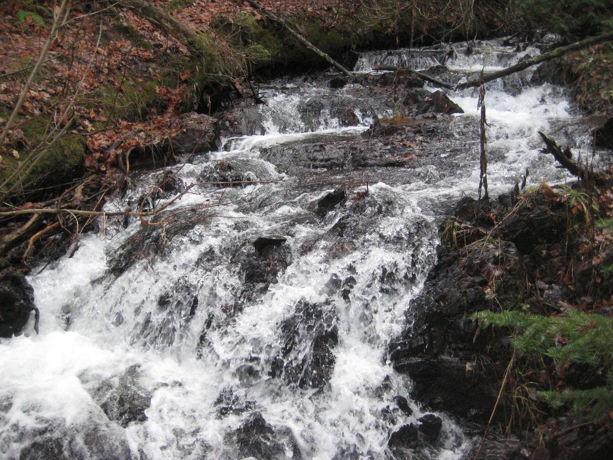 Taller slide downstream