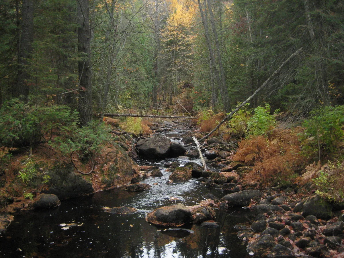Fall colors around the rapids