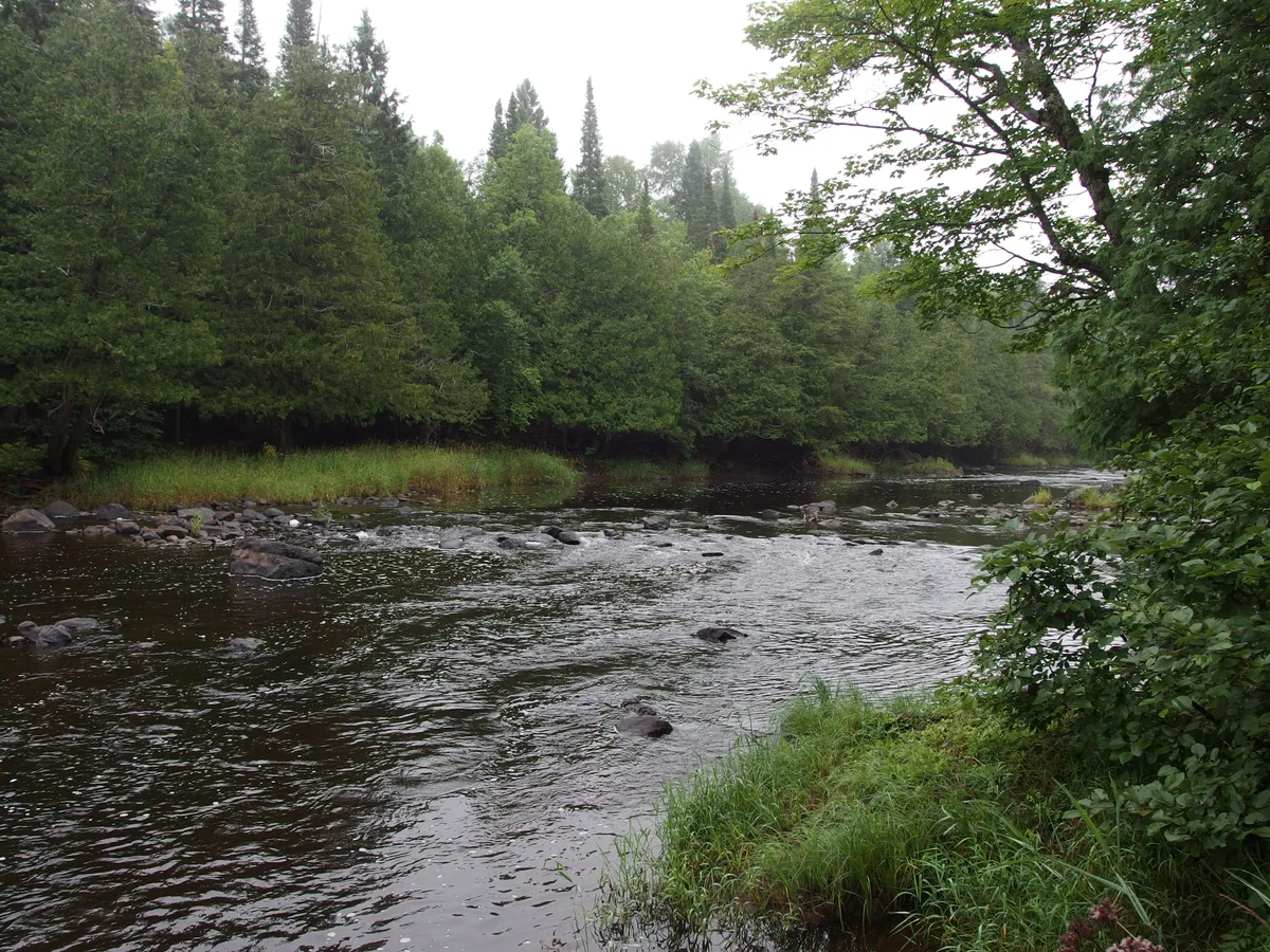 First view of Black River