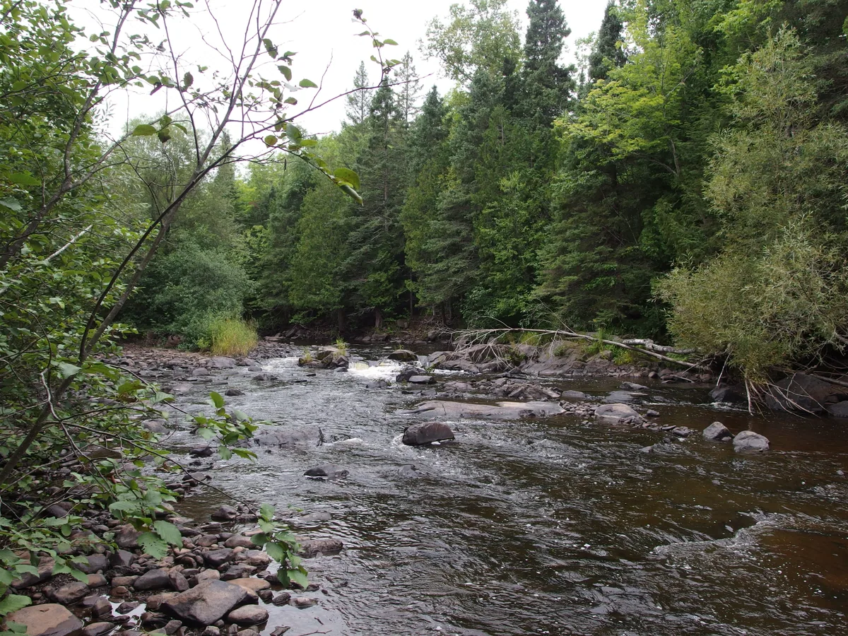 Upstream rapids