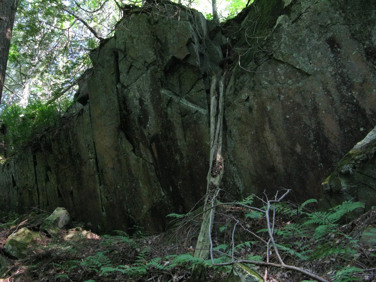 Sudden jags of rock in the forest