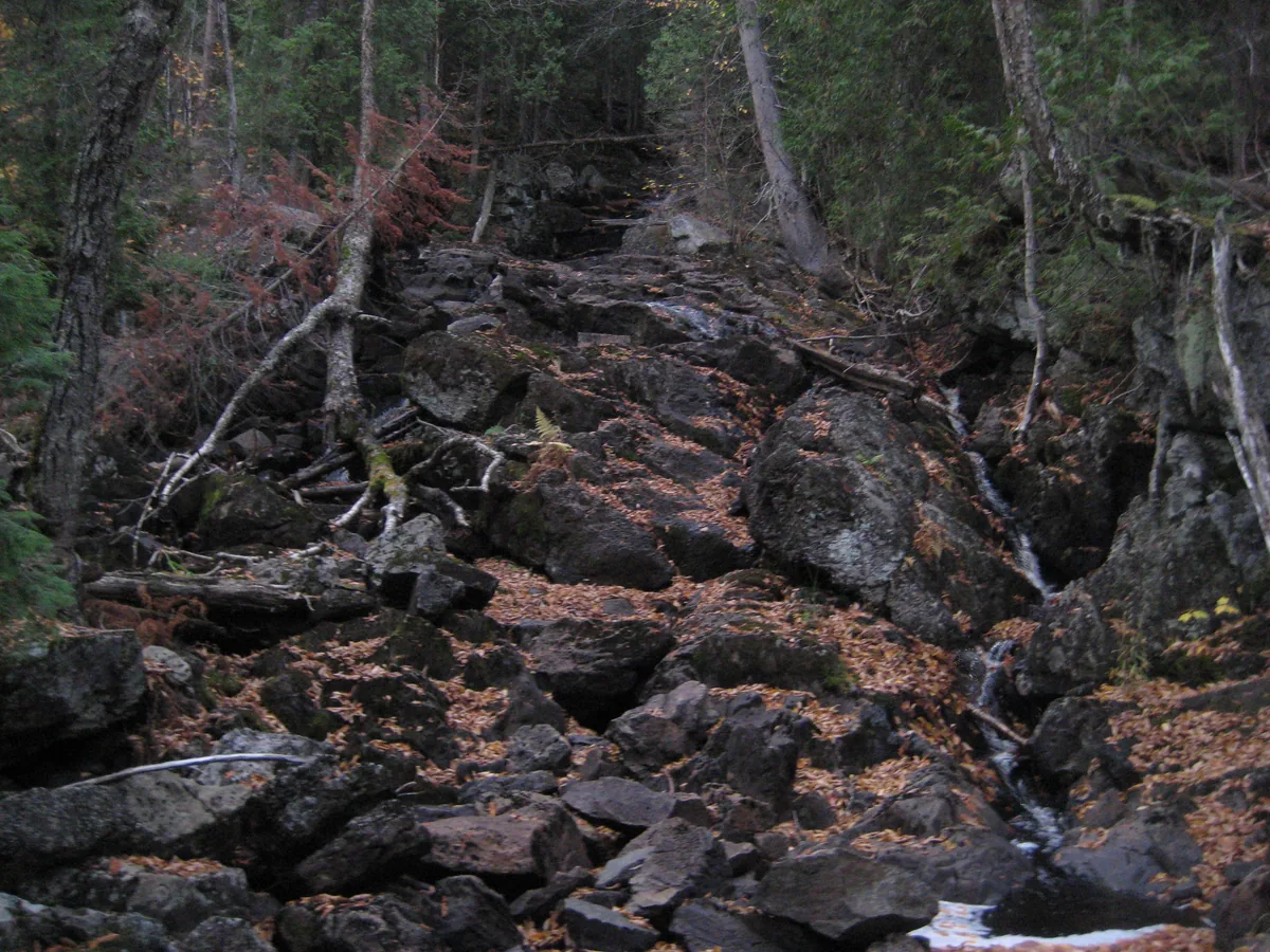 Dark, leaf covered rocks