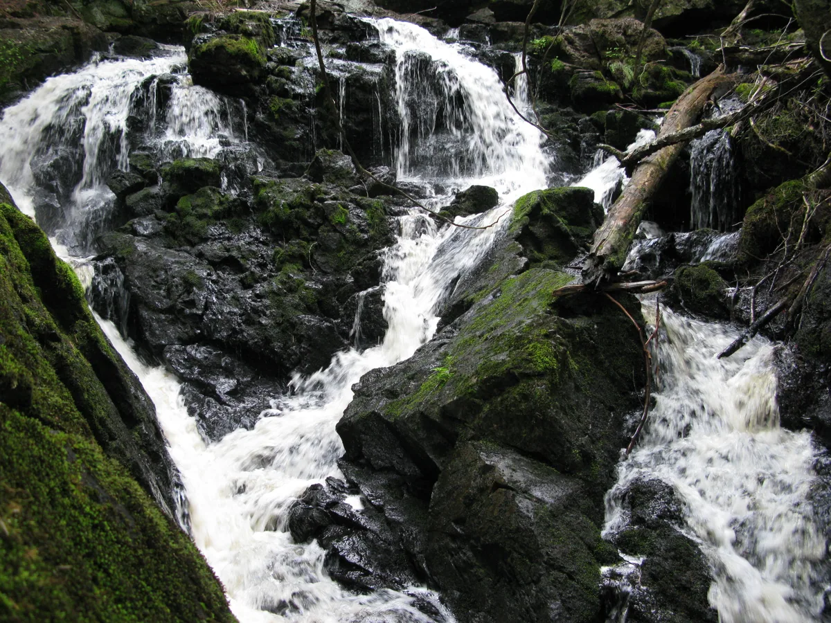 Split, dripping waters