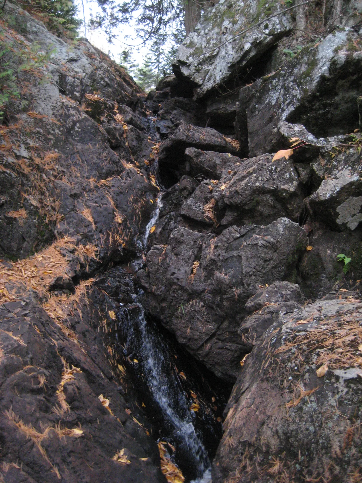 Trickling drop below the swamp