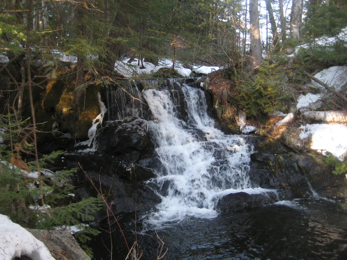 Springtime at Ogemaw Falls