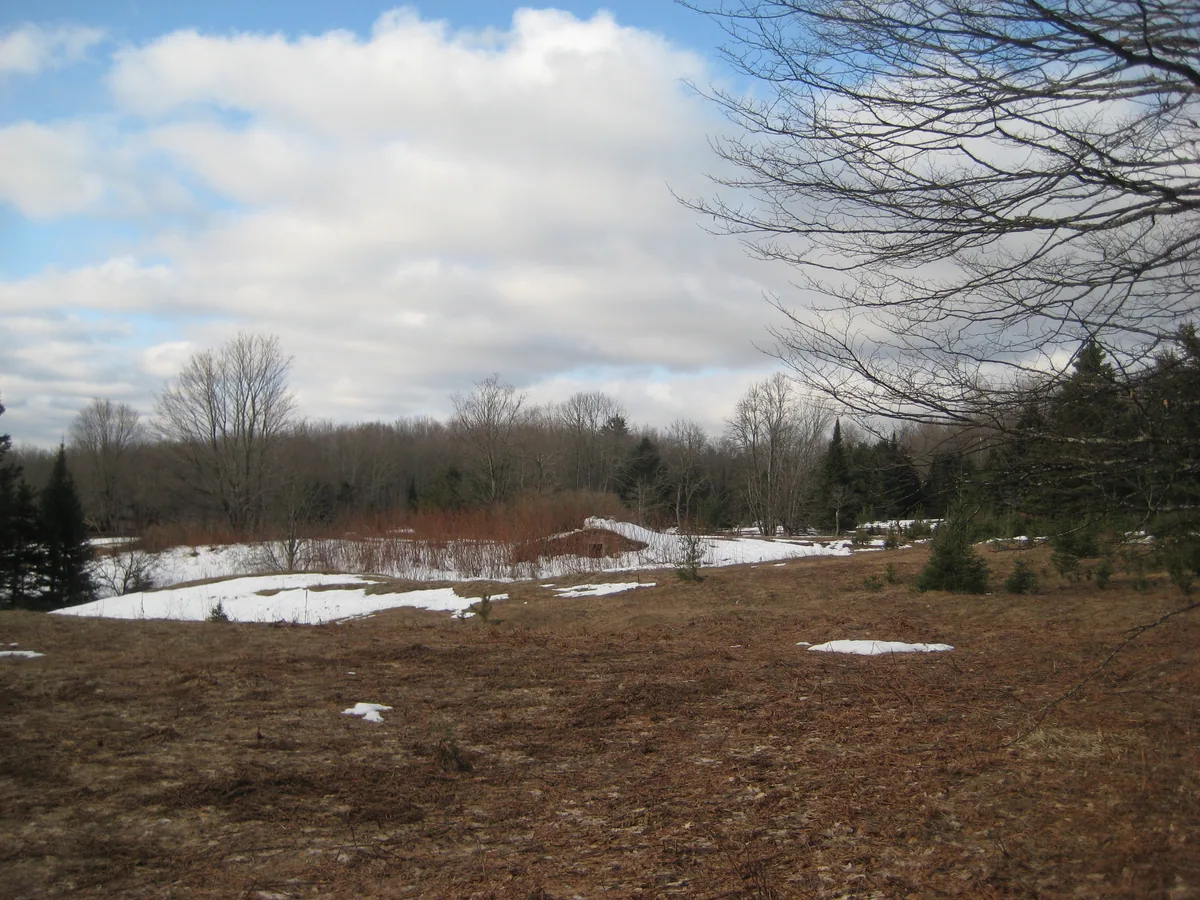 Bare spring meadows