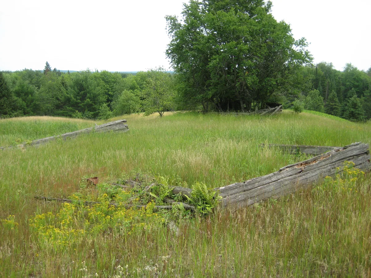 Old foundations in the grassy meadow