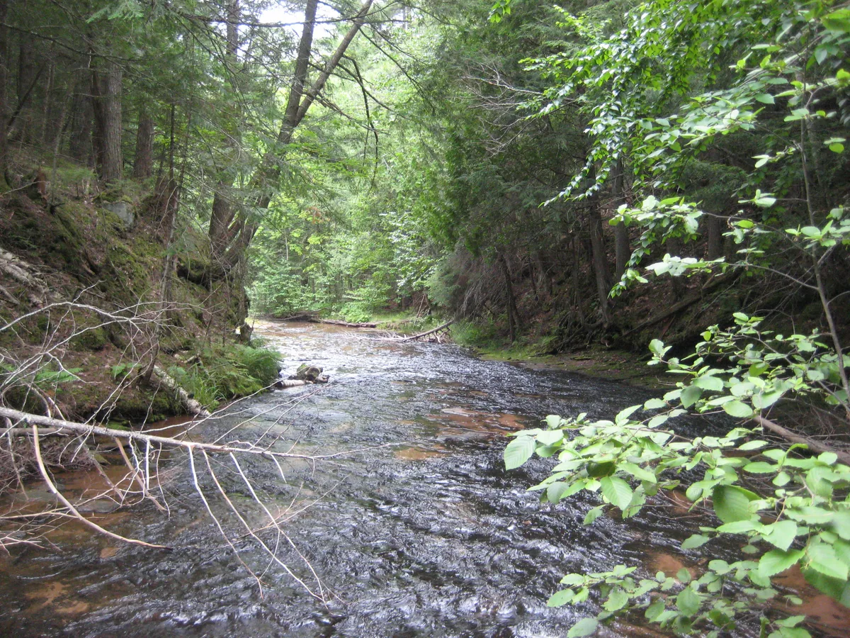 Shallow downstream river