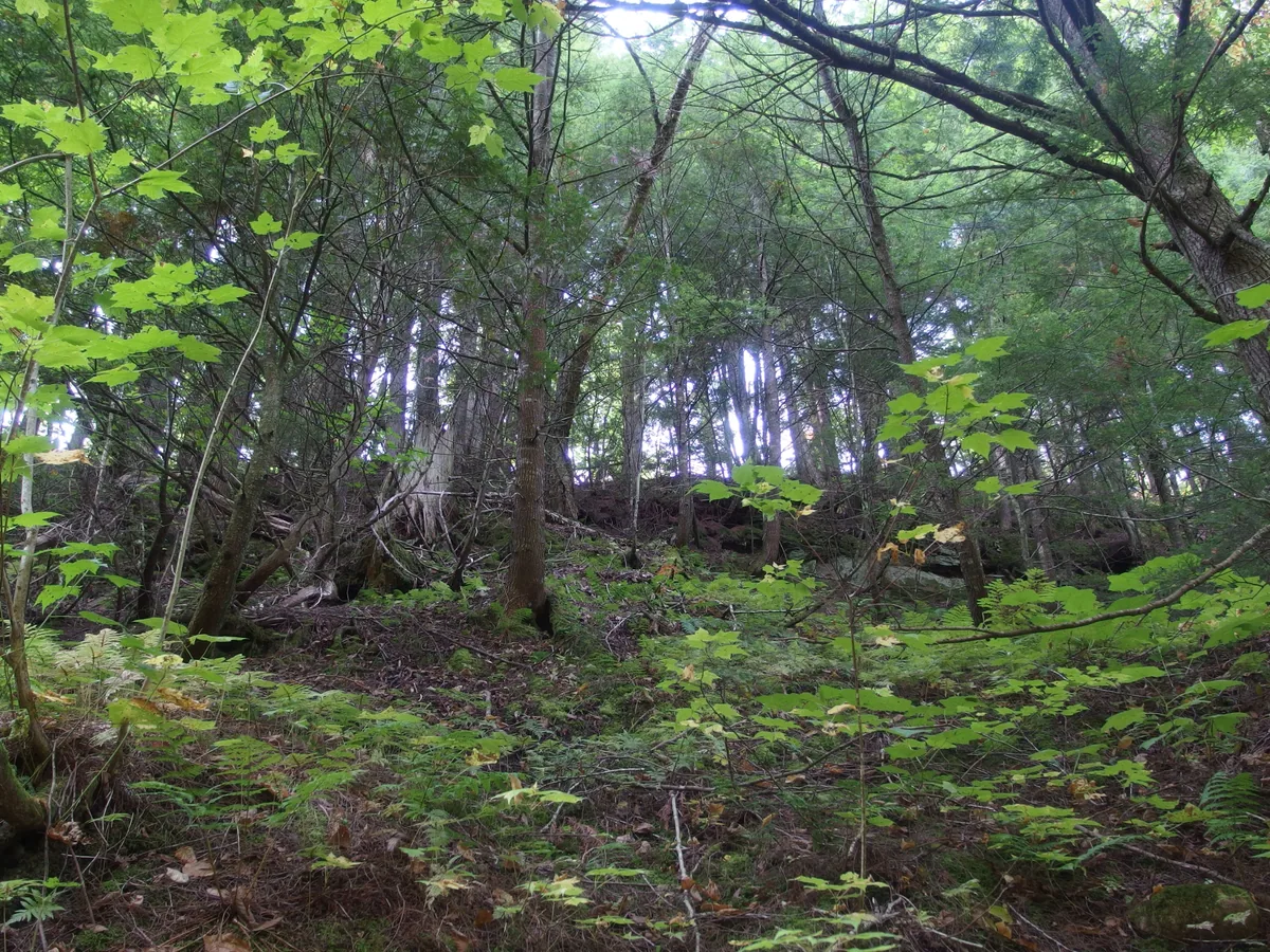 A steep climb back up