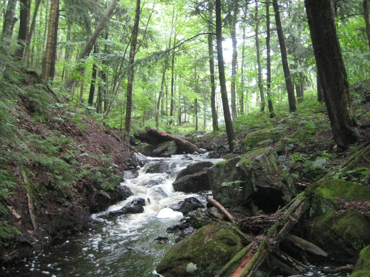 Some rapids