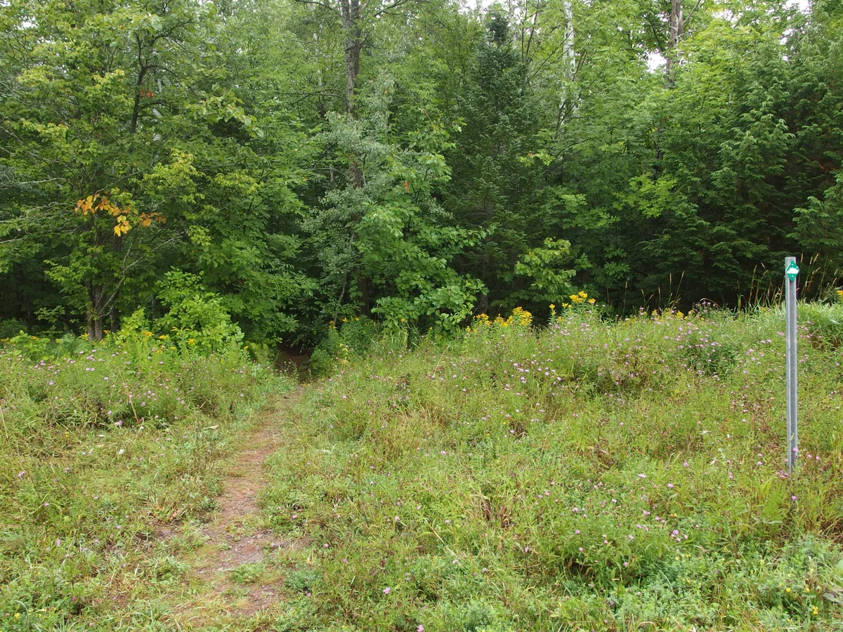 Faint start to the path