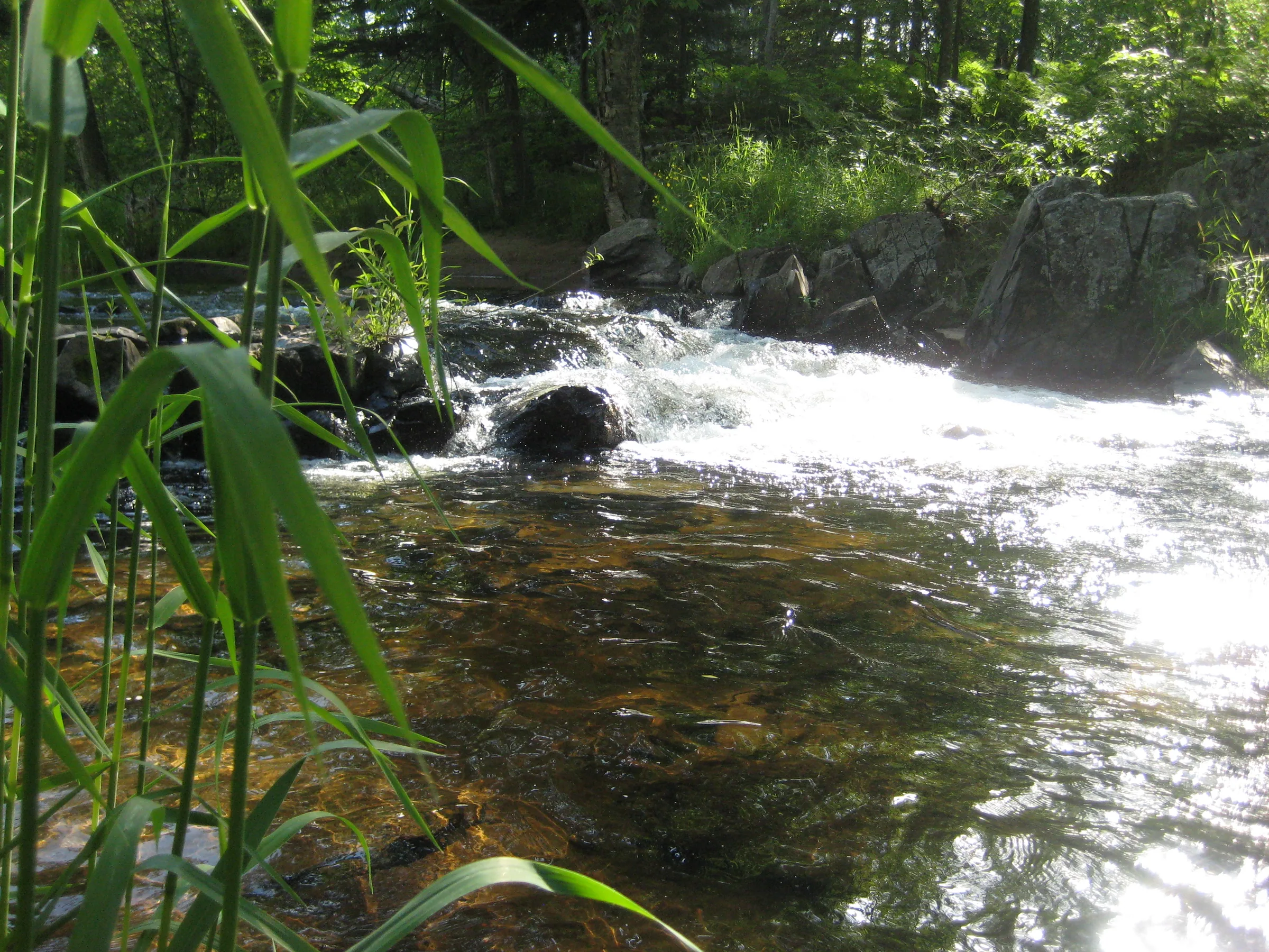 Small upper drop