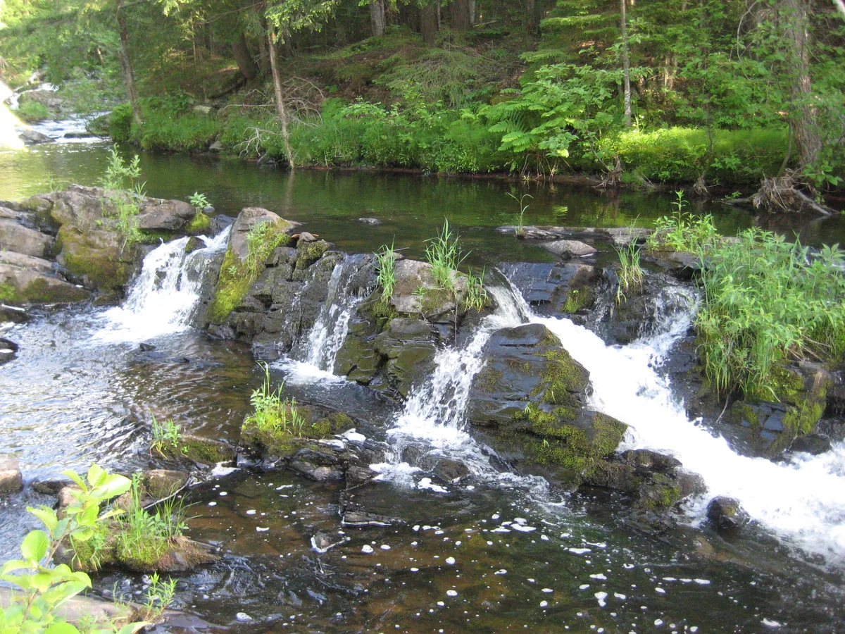Small lower chutes flowing around mossy rocks