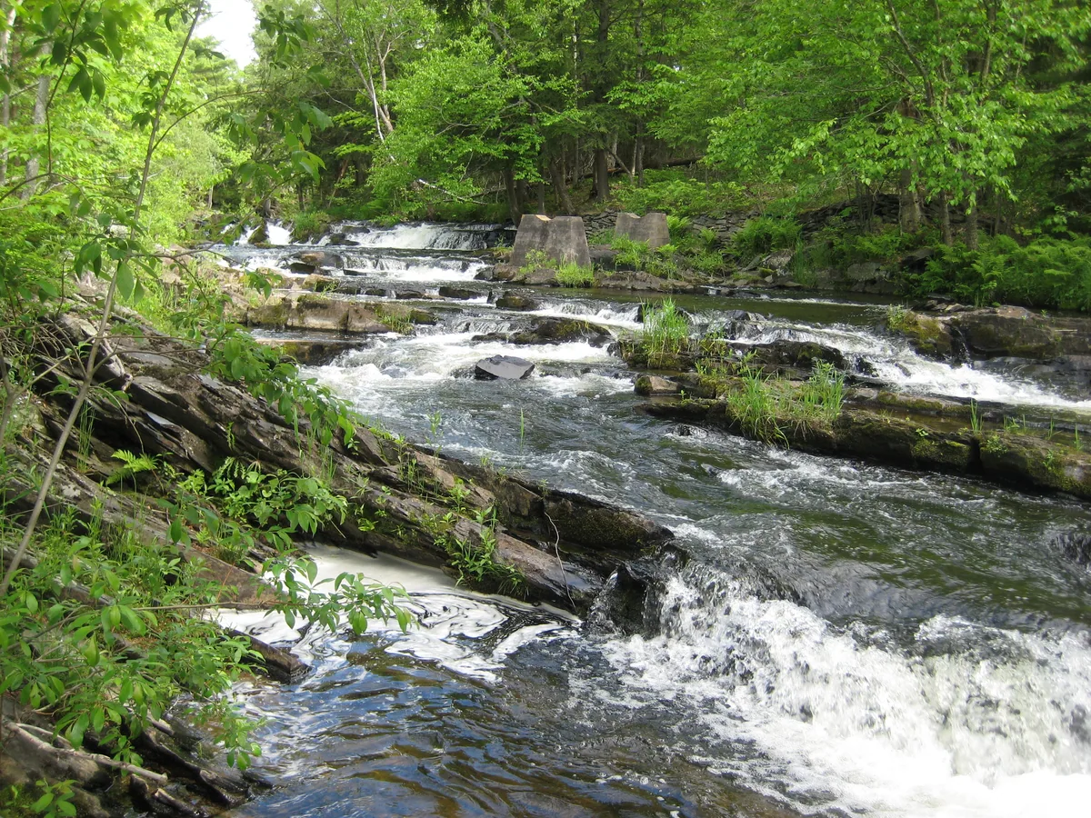 Upstream cascades