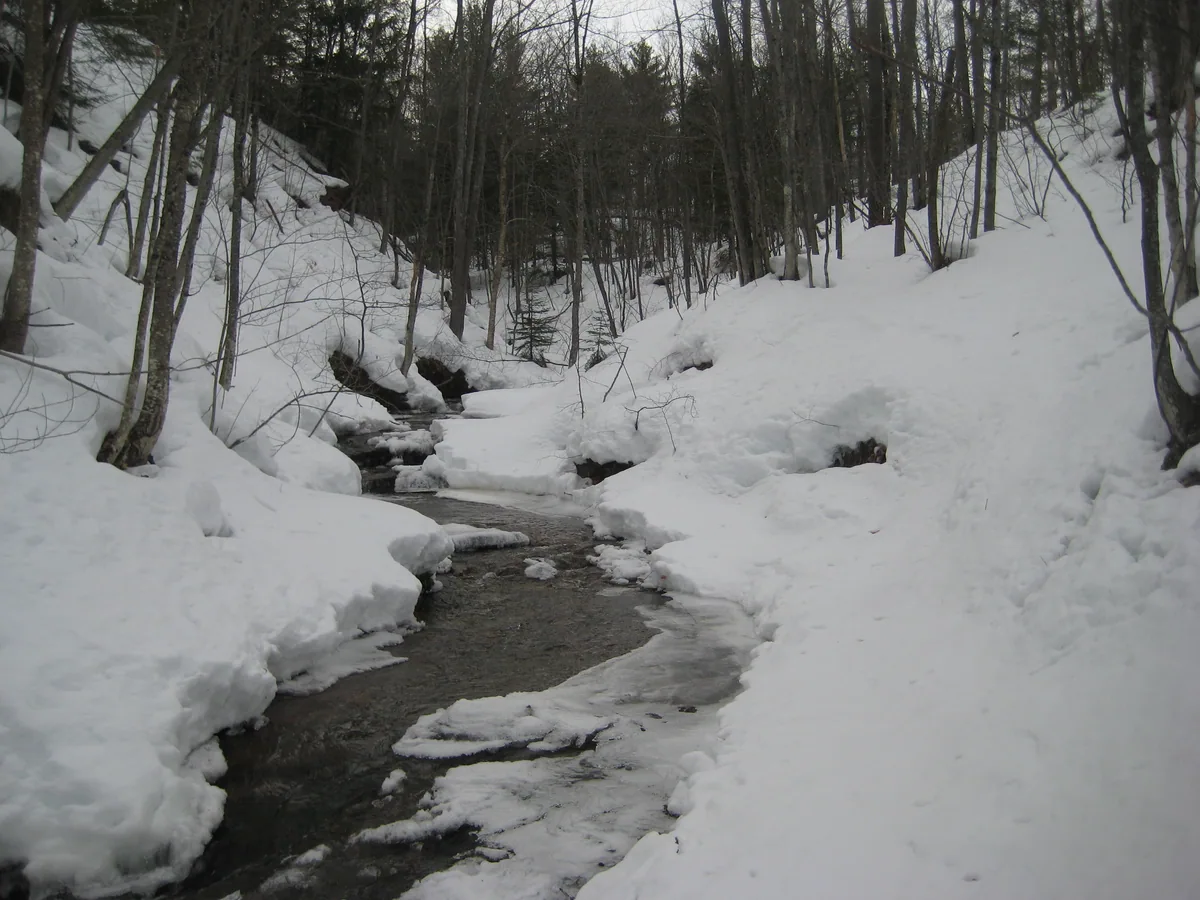 Calm waters between snowy banks