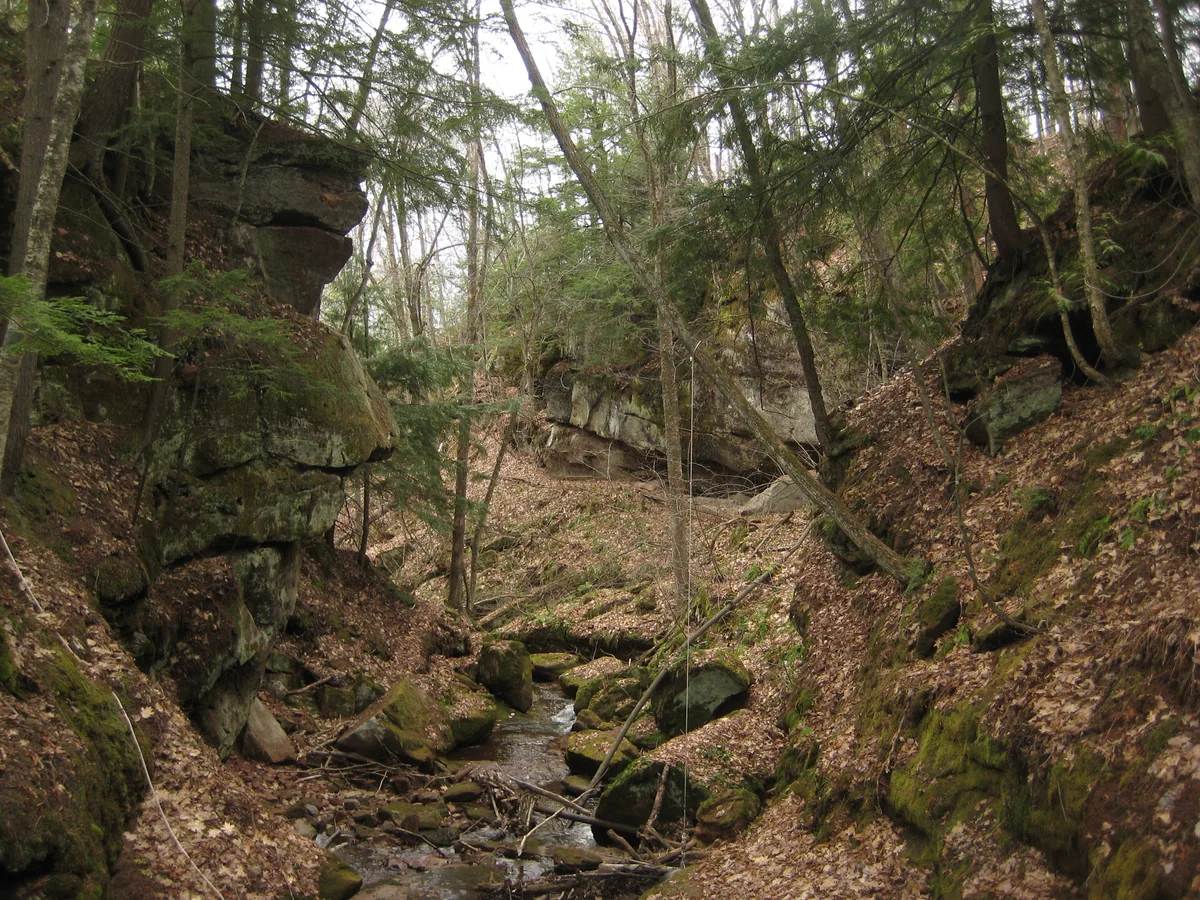 Looking downstream from the dam