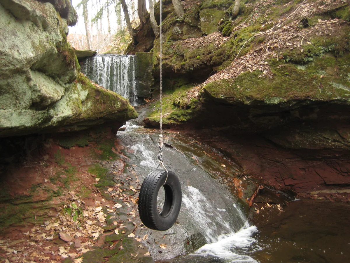 Tire swing near the dam