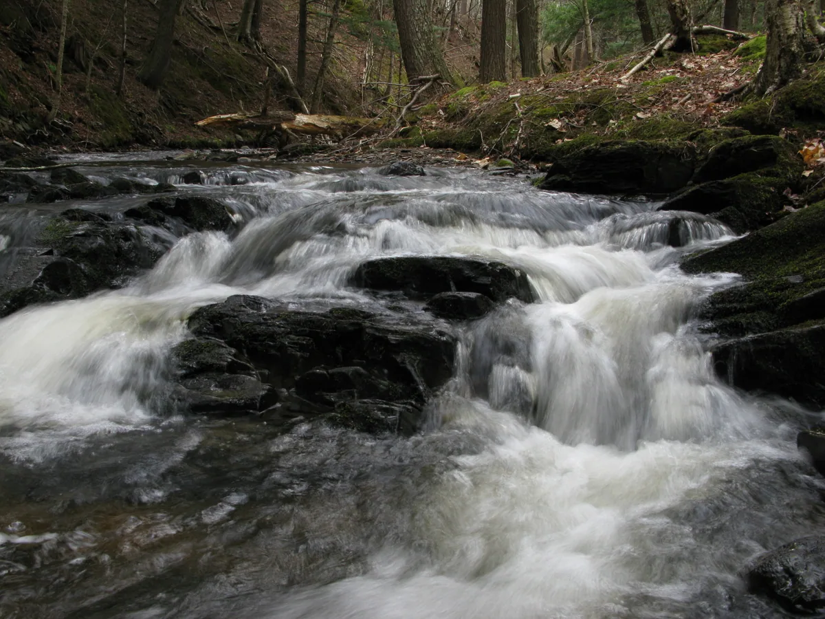 Close view of streaming waters