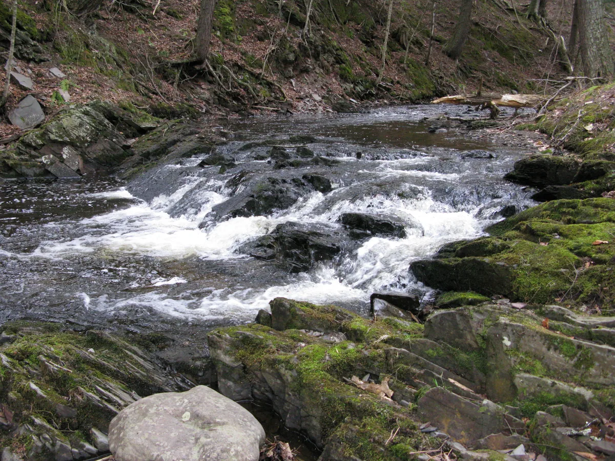 Small ledge near mossy rocks