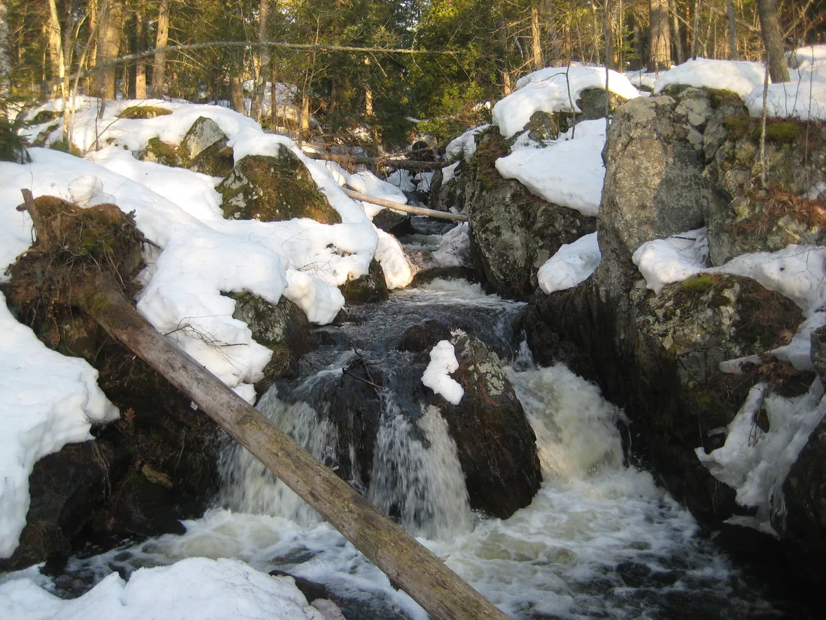 Looking up the narrow rocky creek
