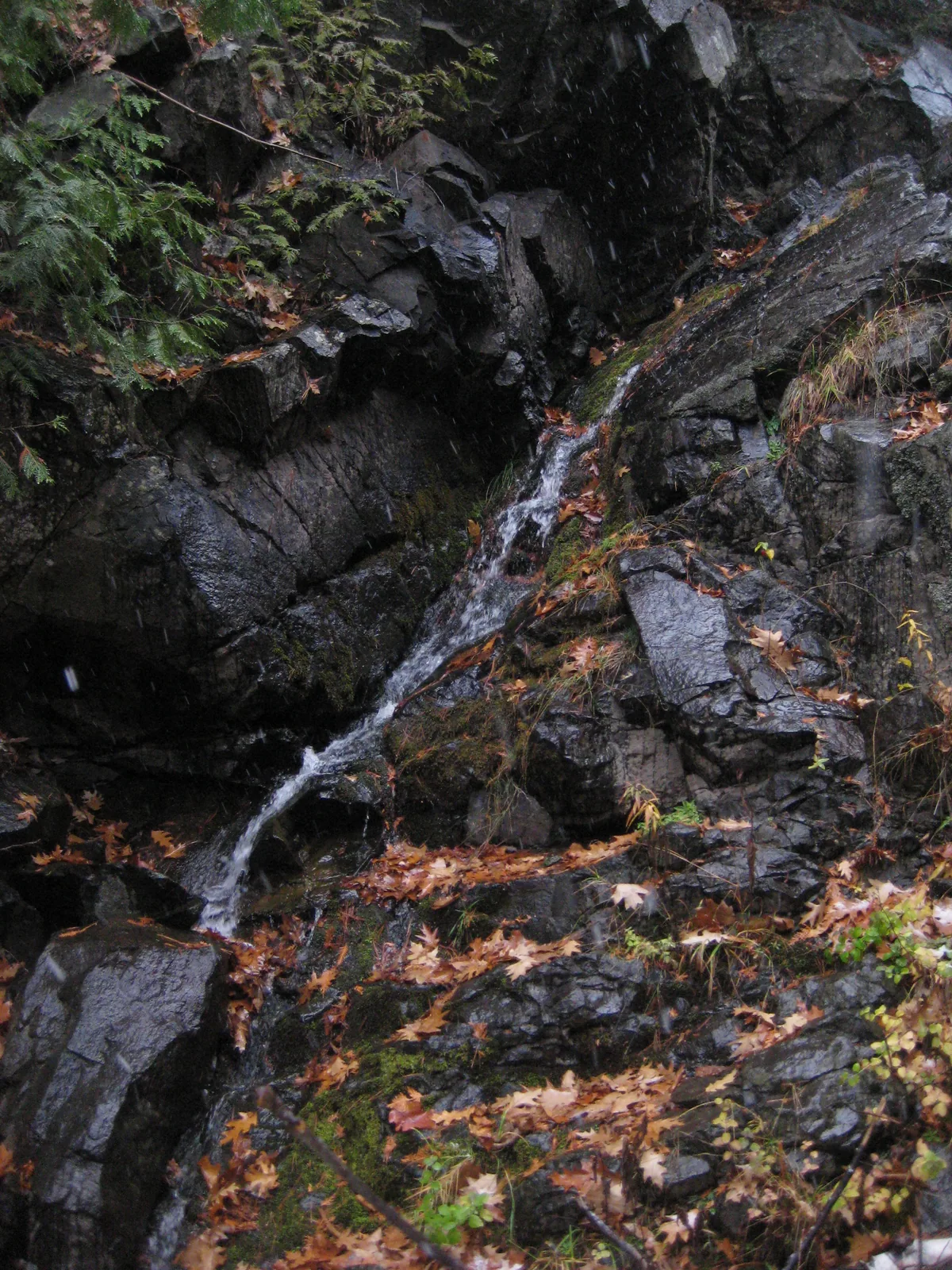 Slight trickle over the damp rocks