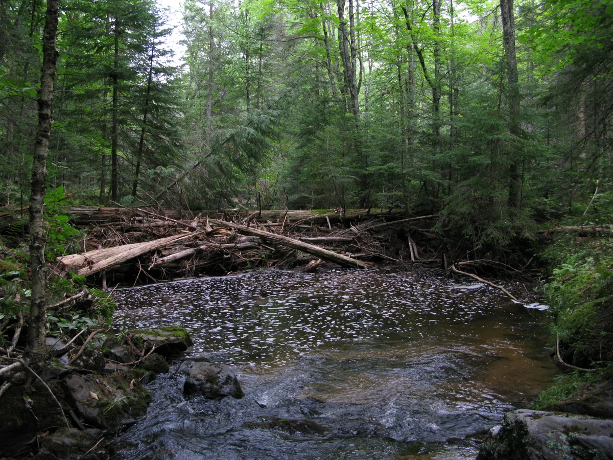 Cluttered mess around the falls