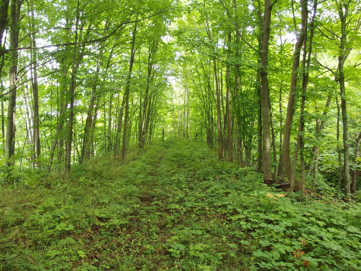 Old road next to M-28
