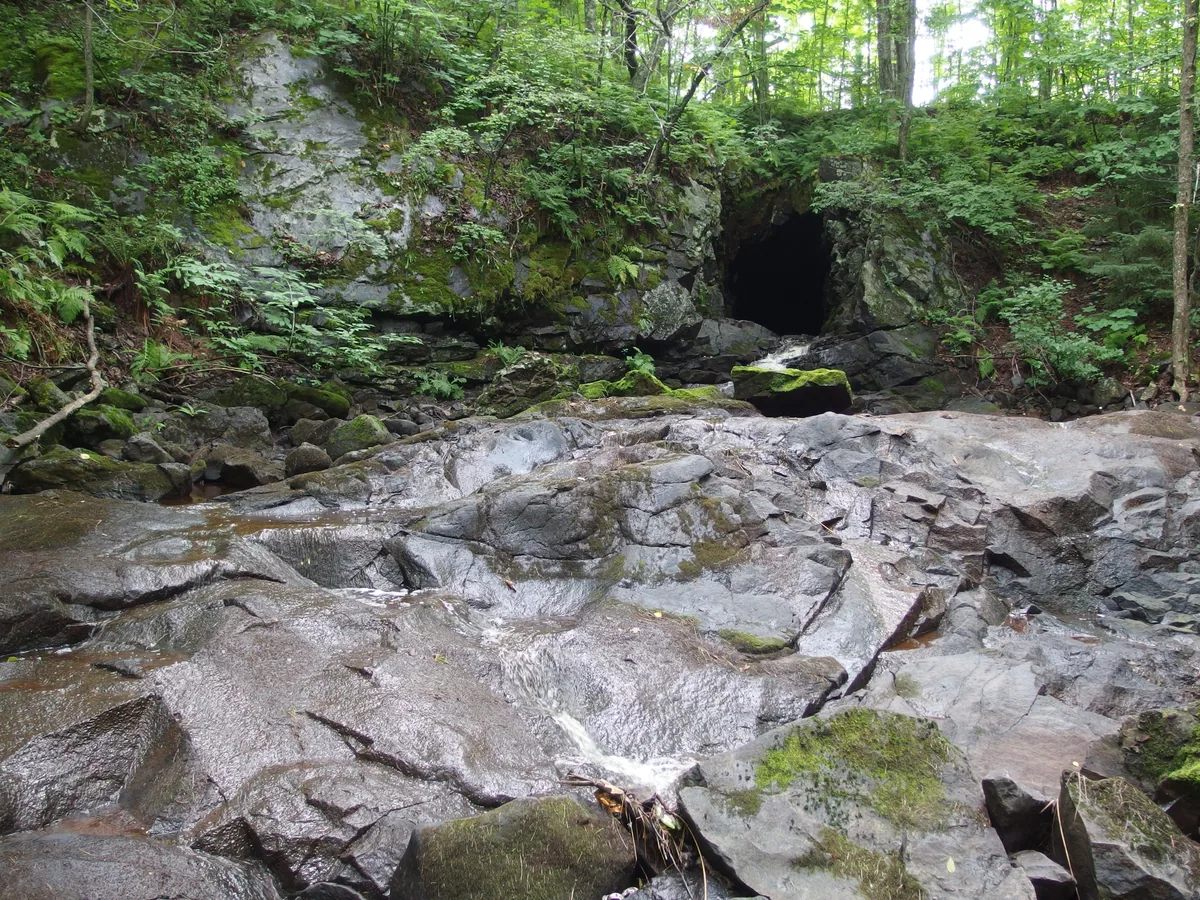 Wet, black formation below the tunnel