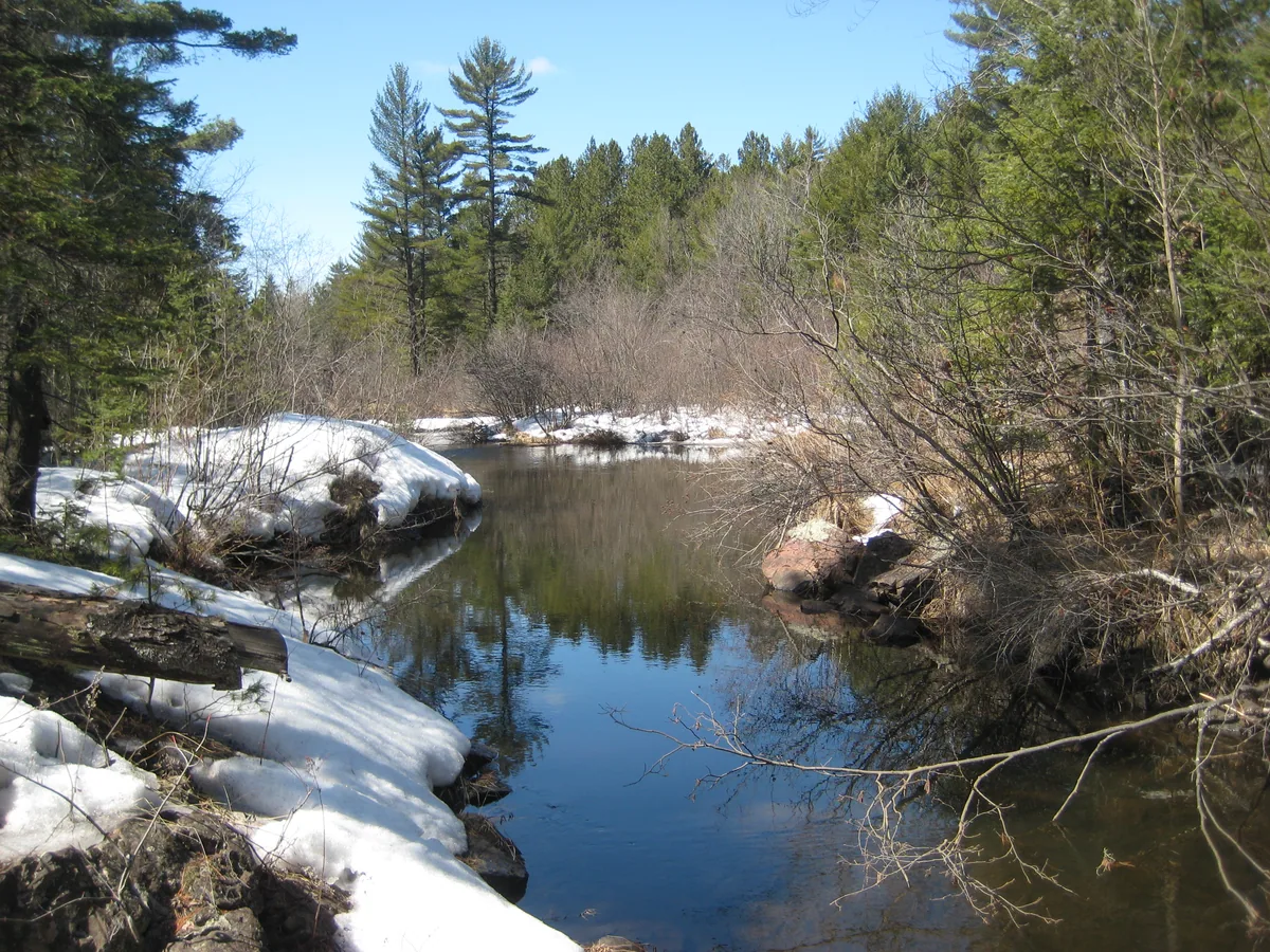 Calm waters upriver
