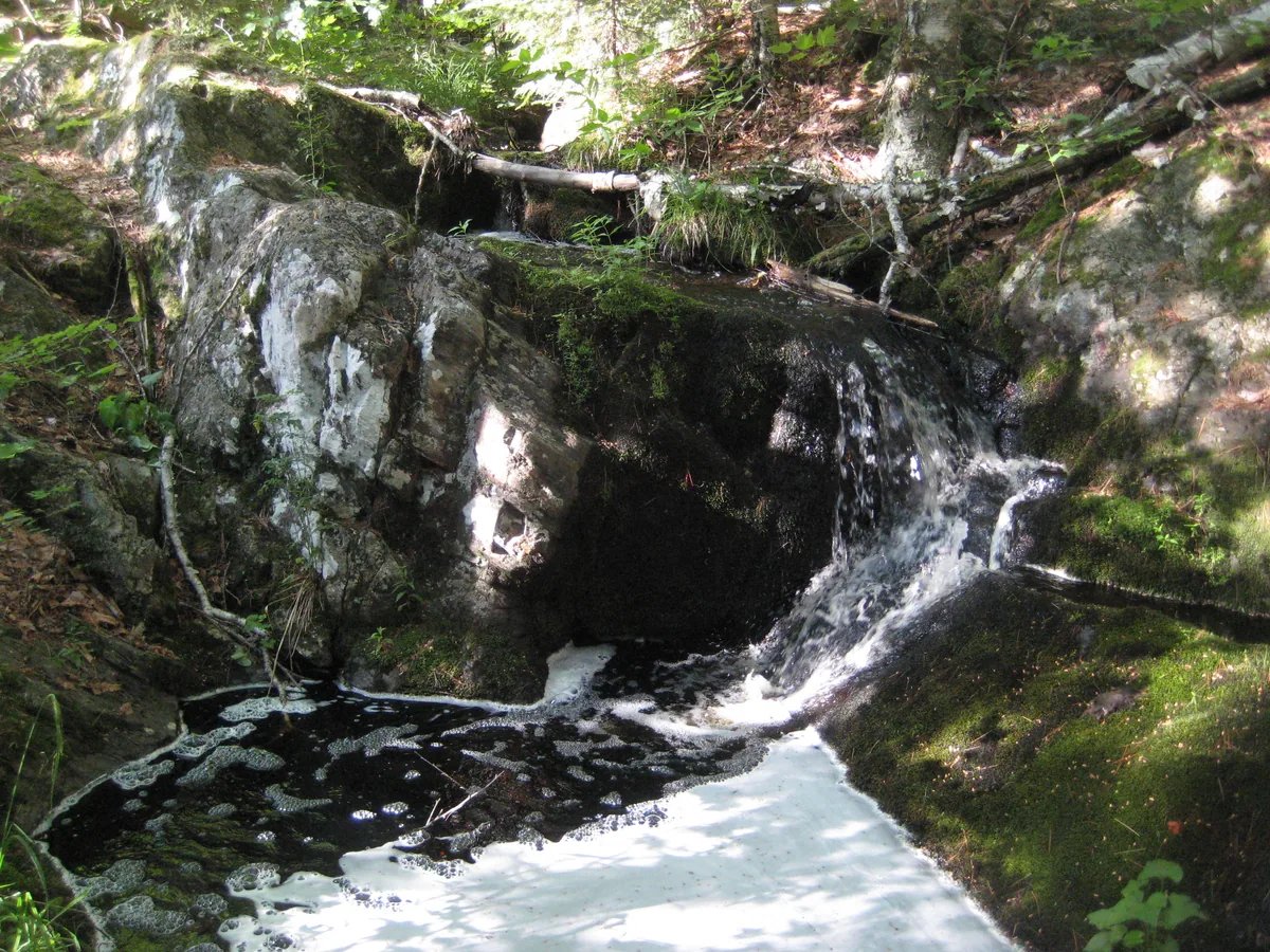 A mossy rock slide