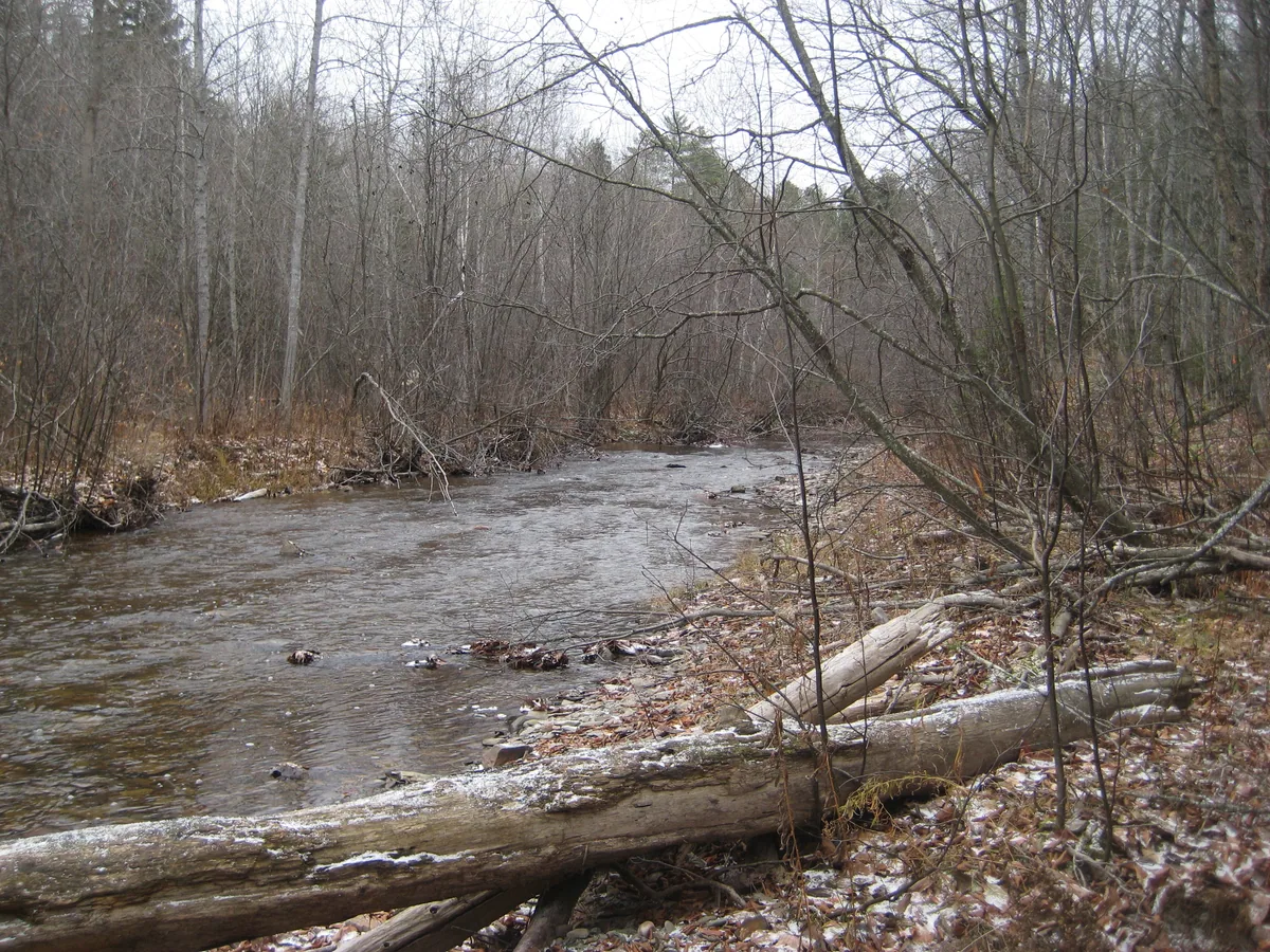 Barren river
