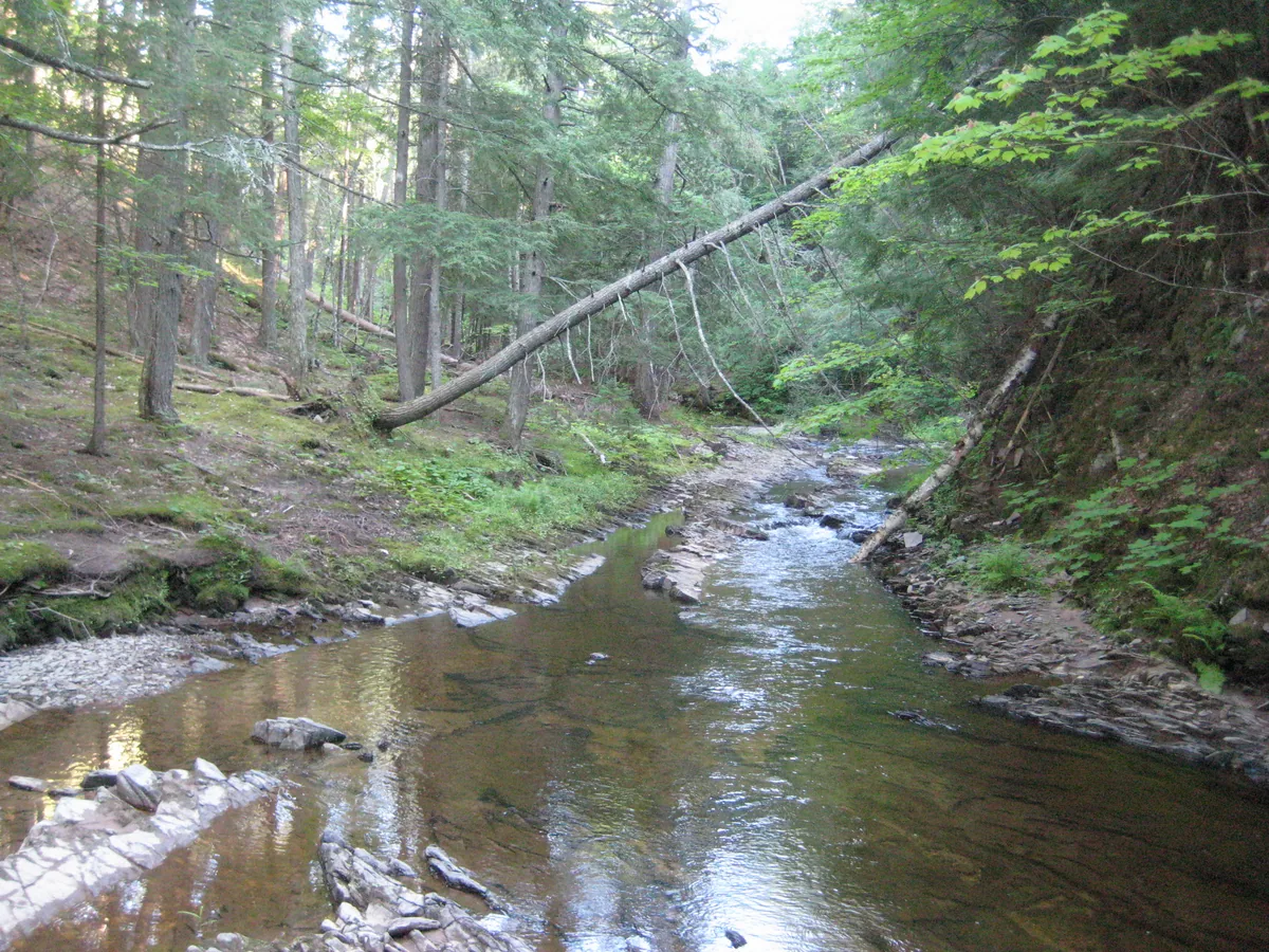 Calm waters between falls