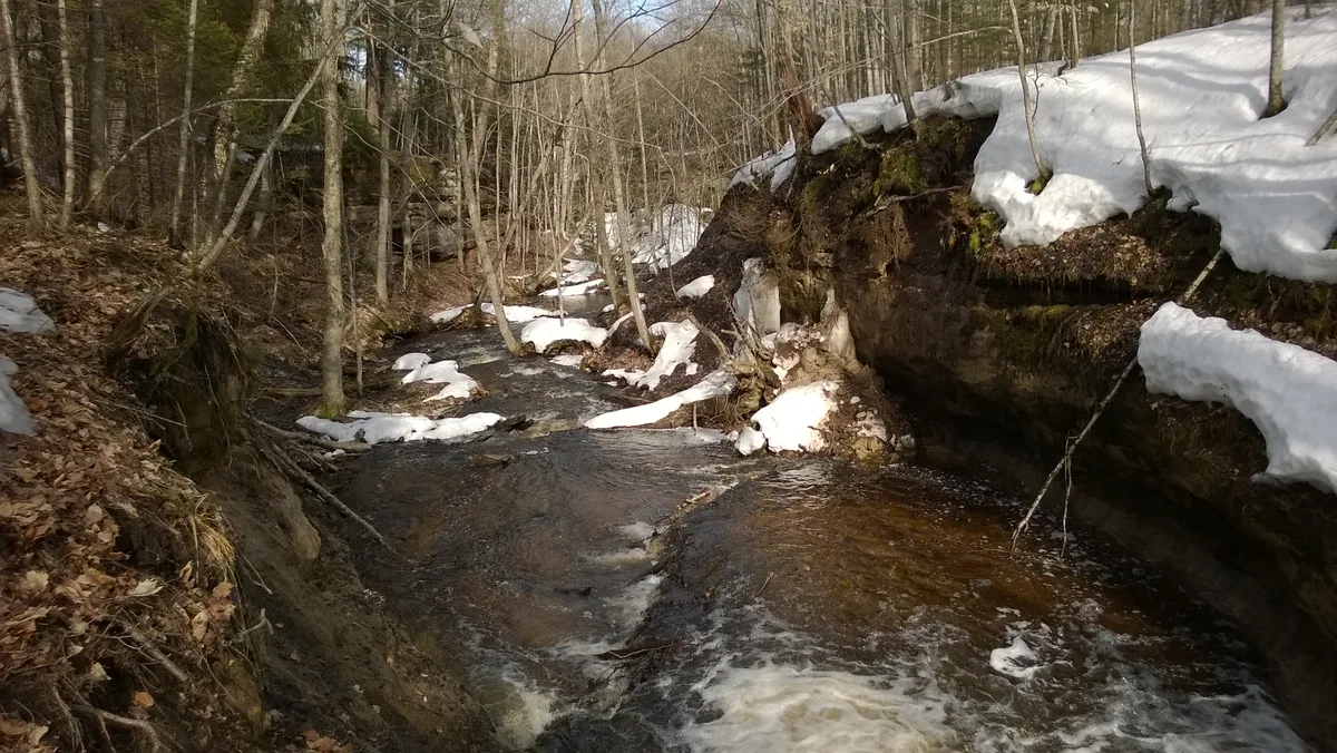 Looking downstream into the little canyon