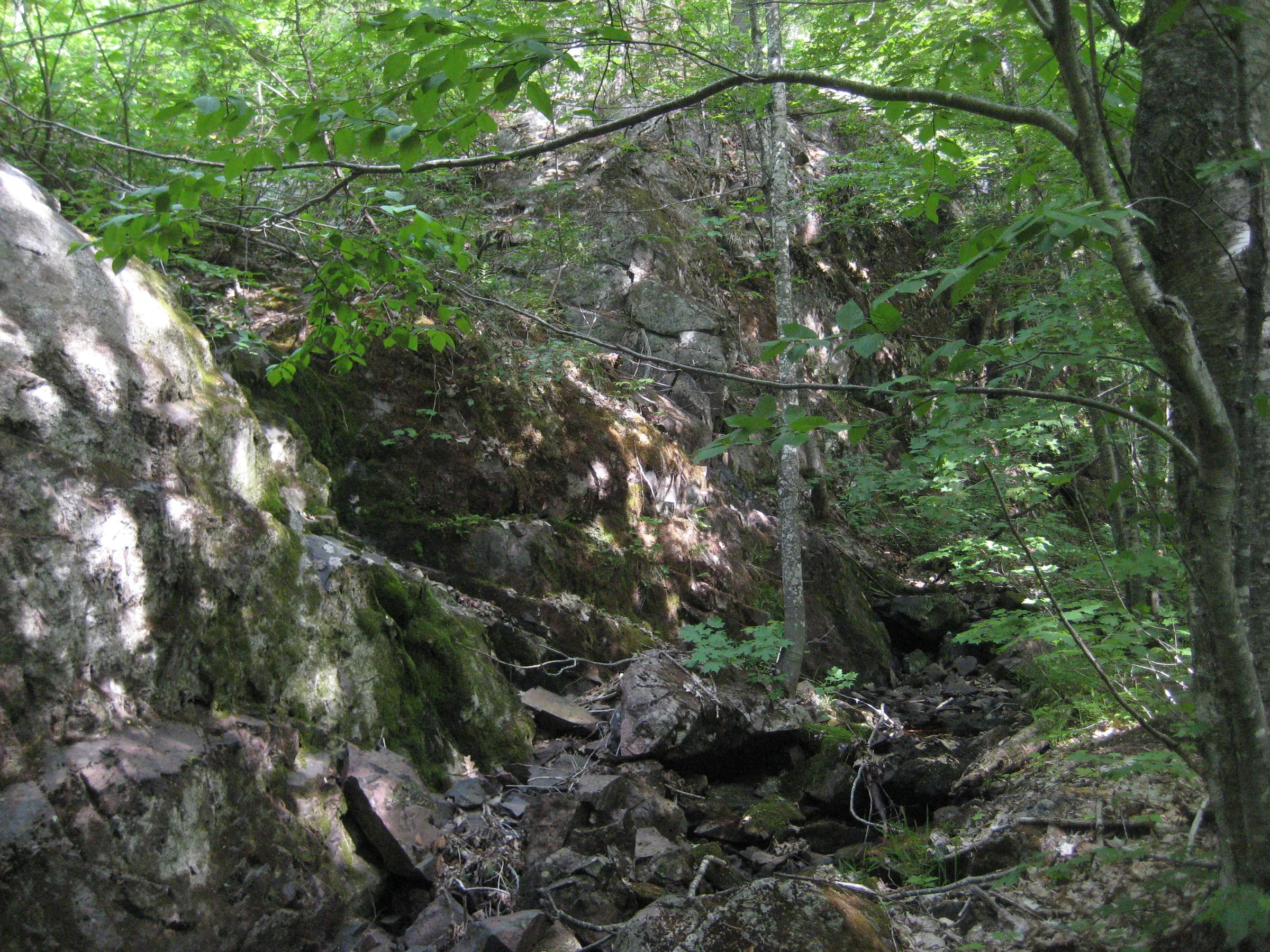 Jagged rocks in the woods